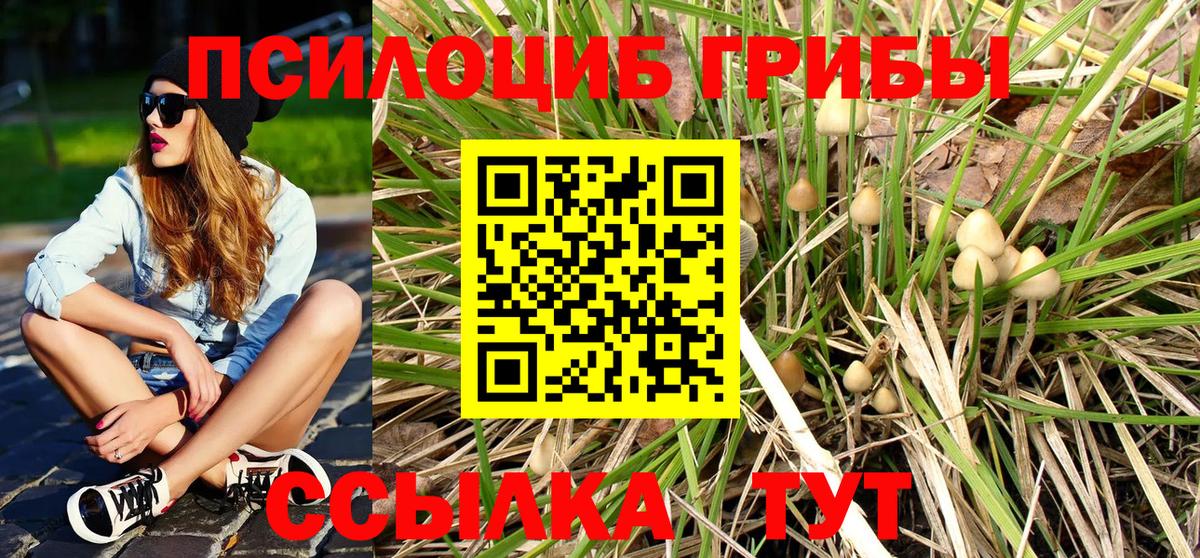 Городец  Псилоцибиновые грибы Psilocybe  Вход с VPN  Псилоцибиновые грибы Cubensis 